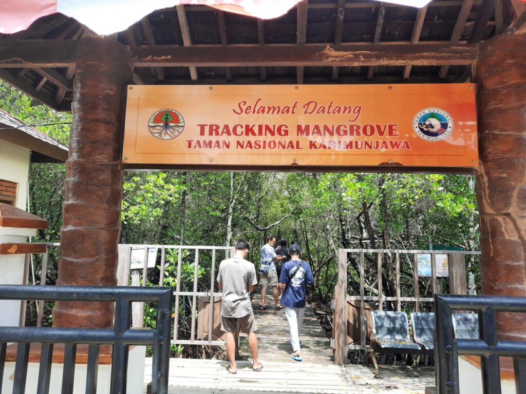 Keunikan Hutan Mangrove Karimunjawa Sebagai Objek Wisata Edukasi (5)