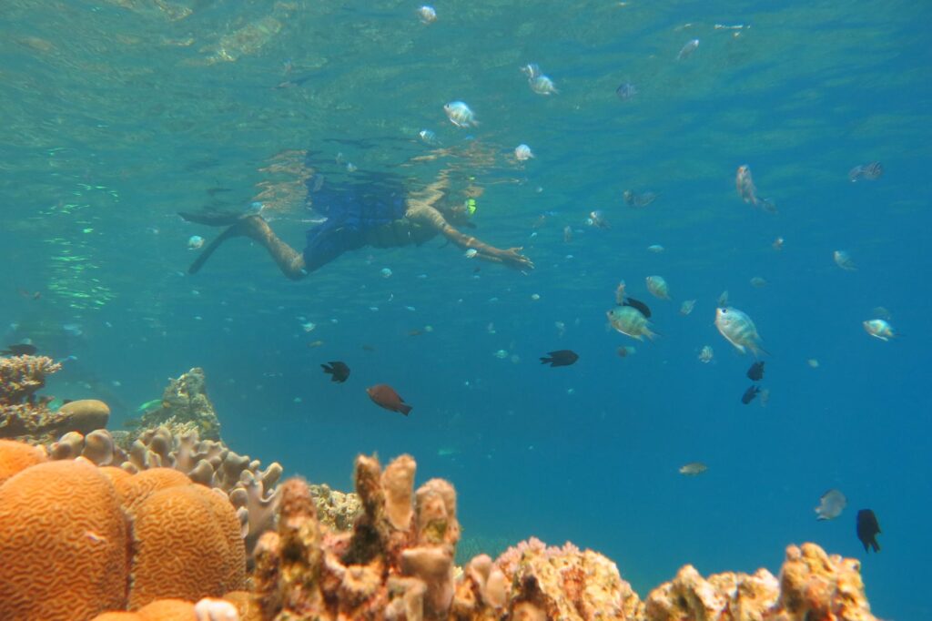 Menikmati Keindahan Laut di Karimunjawa Melalui Snorkeling (5)