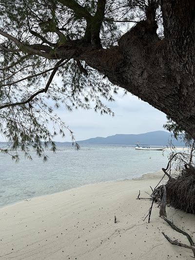 Snorkeling Di Pulau Menjangan Kecil2