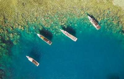 Snorkeling Di Pulau Menjangan Kecil4