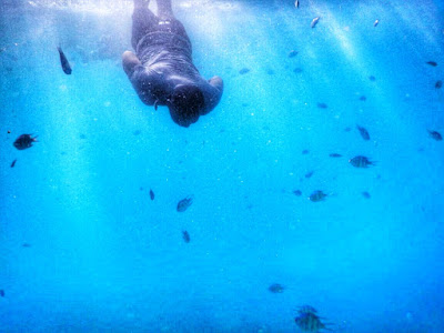 Snorkeling Di Pulau Menjangan Kecil5