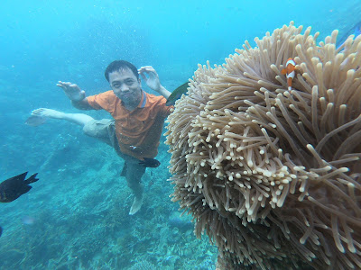 Snorkeling Di Pulau Menjangan Kecil6