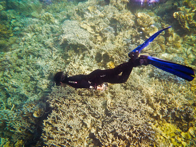 Snorkeling Di Pulau Menjangan Kecil8