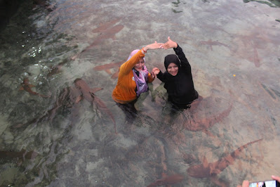 Harga paket snorkeling Karimunjawa