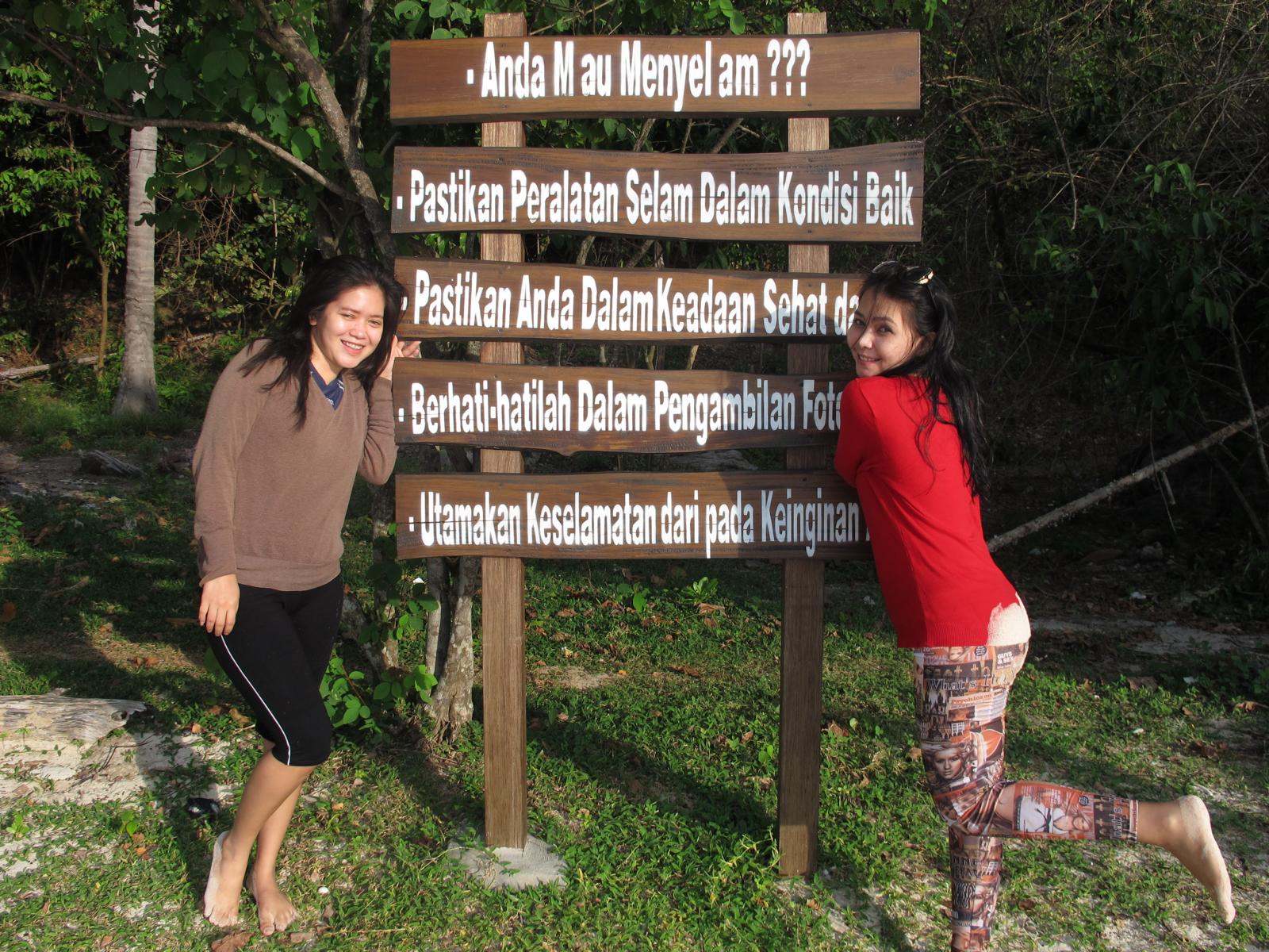 biota laut Karimunjawa yang harus dilihat