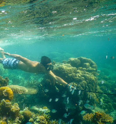 pulau karimunjawa indonesia 7