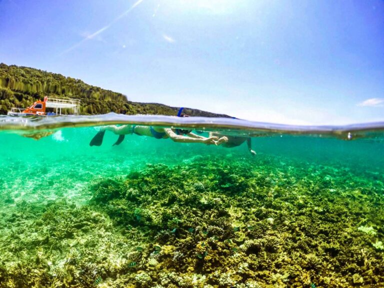 Panduan snorkeling pemula Karimunjawa