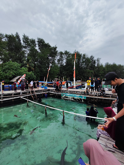 Penangkaran Hiu Pulau Menjangan Besar