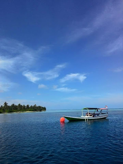 Snorkeling Di Pulau Menjangan Kecil